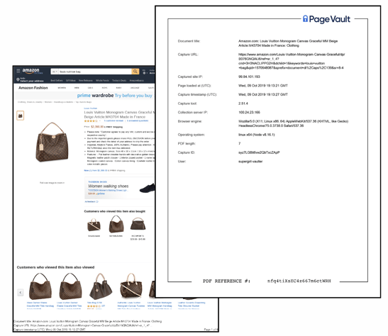 Sample Amazon Legal Web Capture of Counterfeit Product